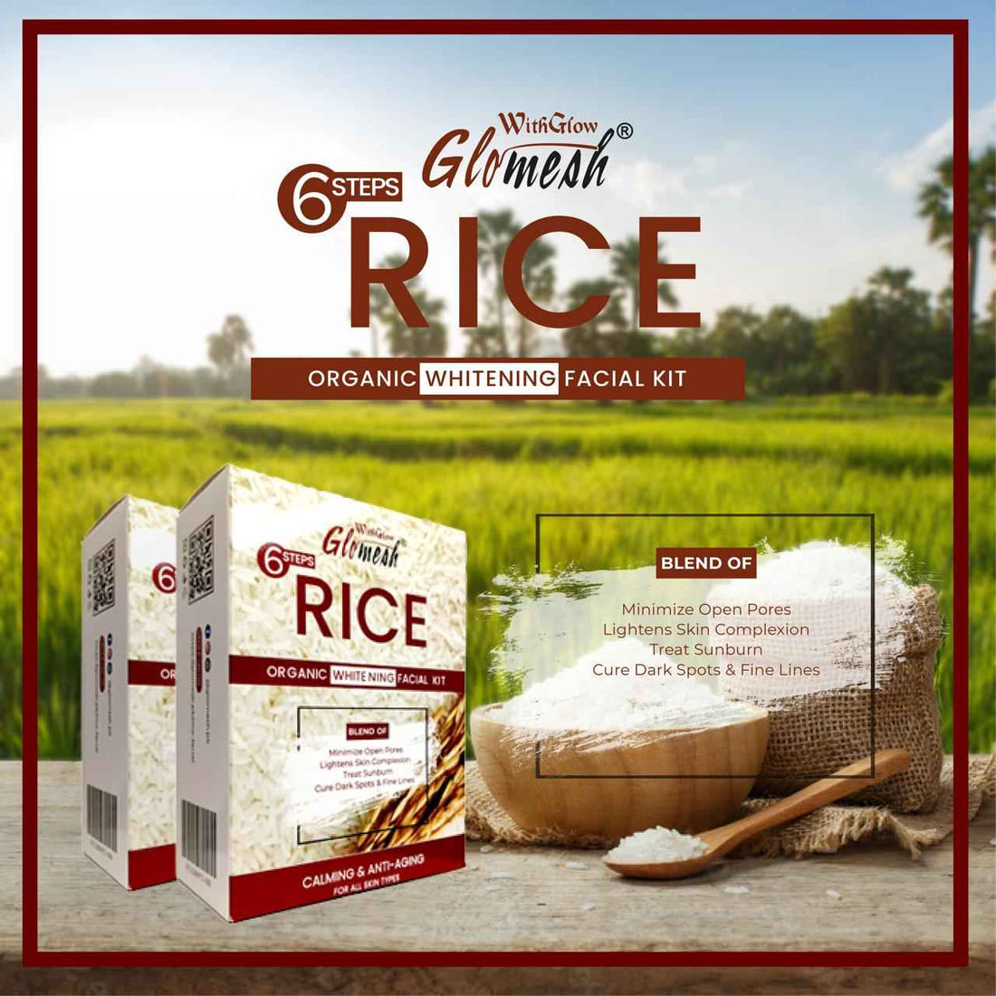 Glomesh Rice Facial Sachet Kit  6 in 1 - Glomesh